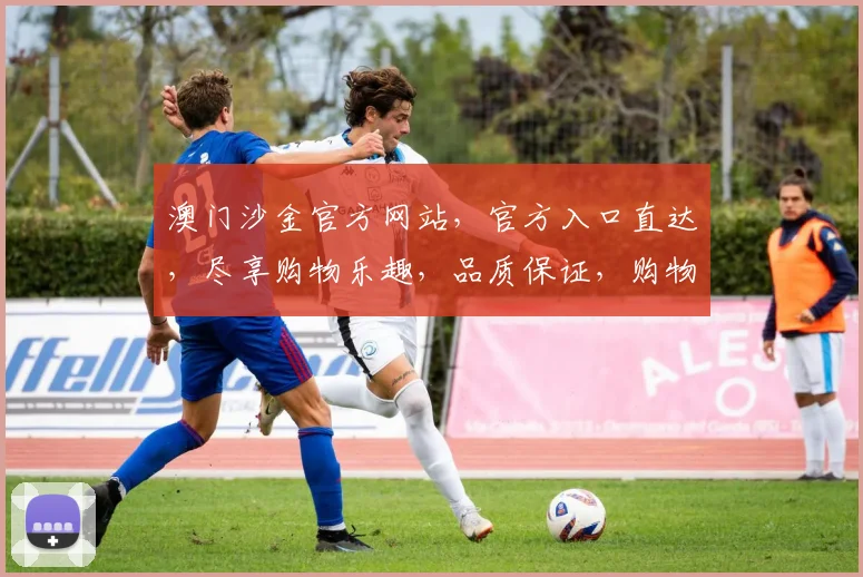 澳门沙金官方网站，官方入口直达，尽享购物乐趣，品质保证，购物无忧，轻松选购。